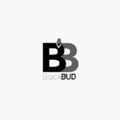 Black BD