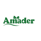 Amader